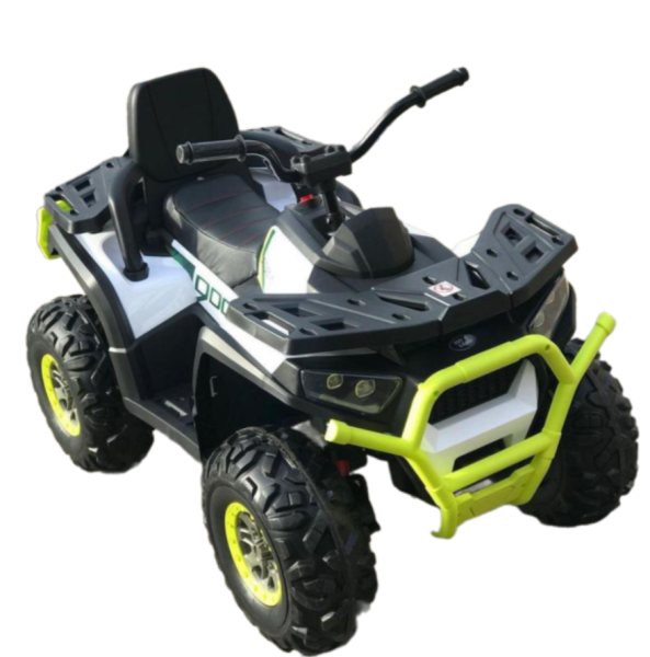 Remove-bg.ai_1733316495087